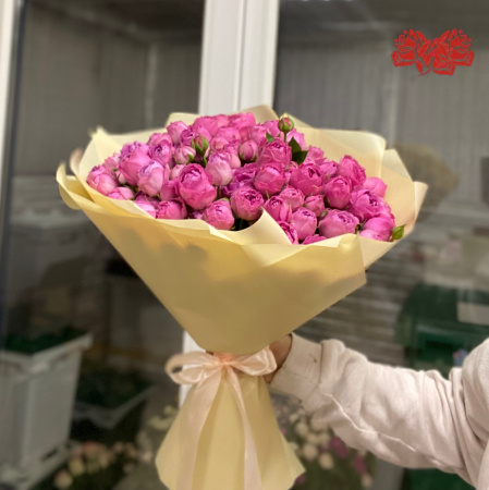 Букет из 51 пионовидных роз